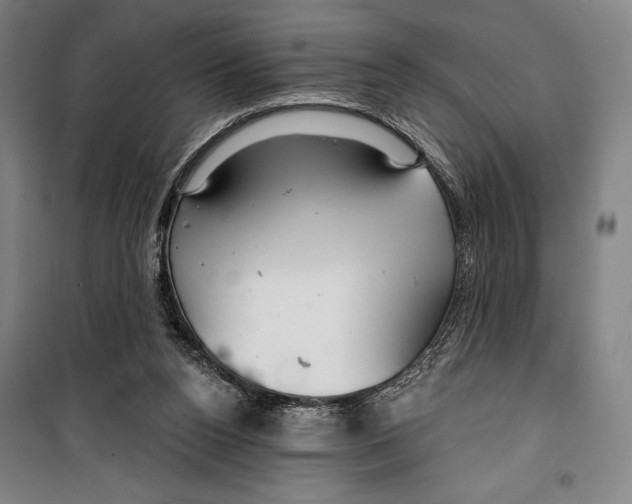 X0000099500160200806121423