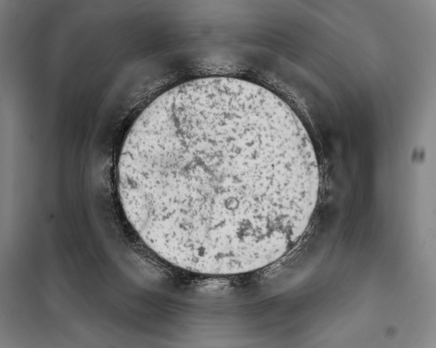 X0000099500162200806121423