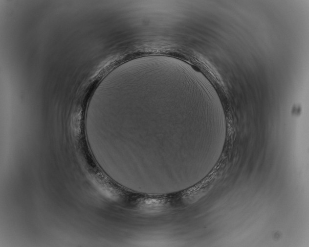 X0000099500163200806121423