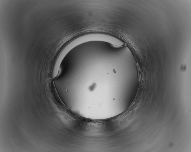 X0000099500164200806121423