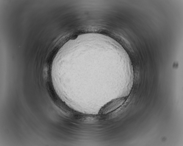 X0000099500166200806121424