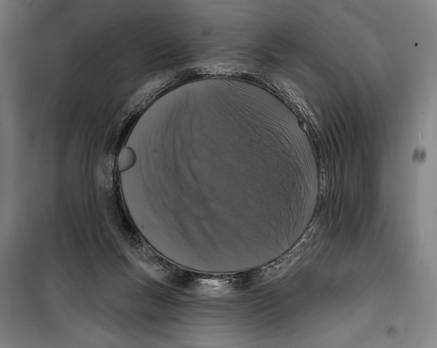 X0000099500167200806121424