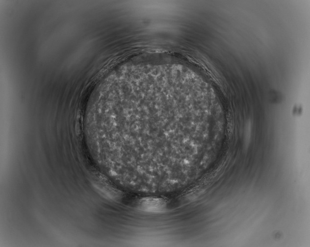 X0000099500169200806121424