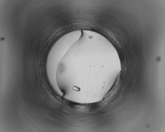 X0000099500170200806121424