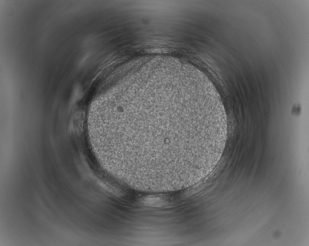 X0000099500171200806121424