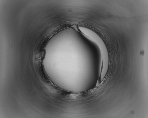 X0000099500172200806121424