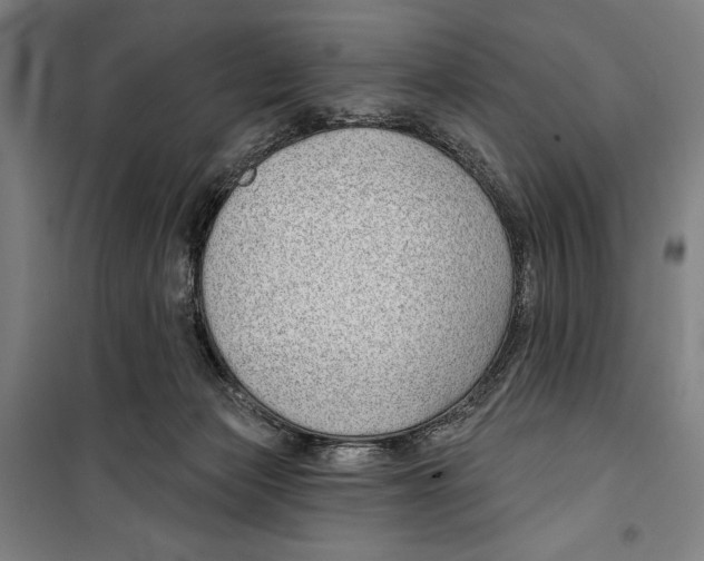 X0000099500173200806121424