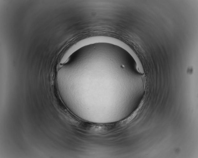 X0000099500174200806121424