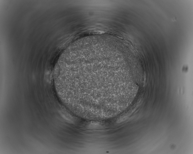 X0000099500177200806121424