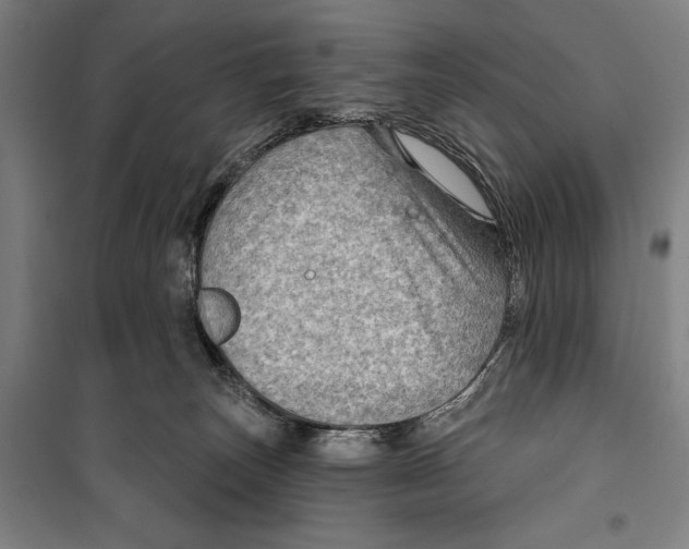 X0000099500179200806121424