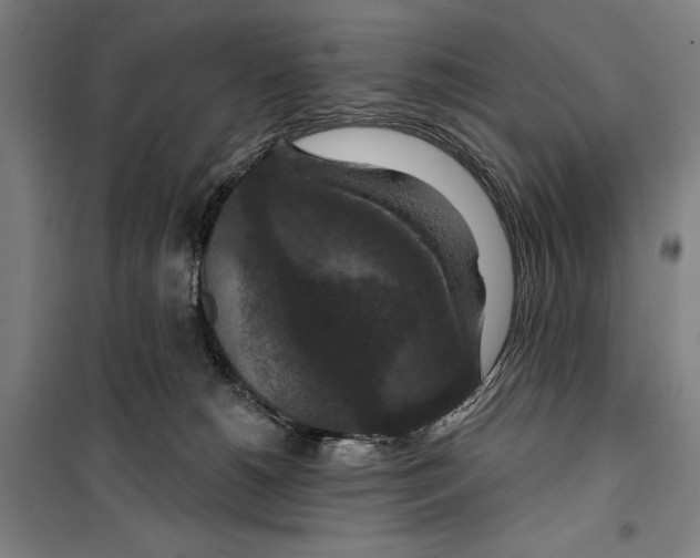 X0000099500180200806121424