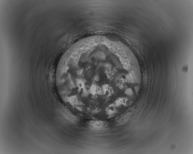 X0000099500181200806121424