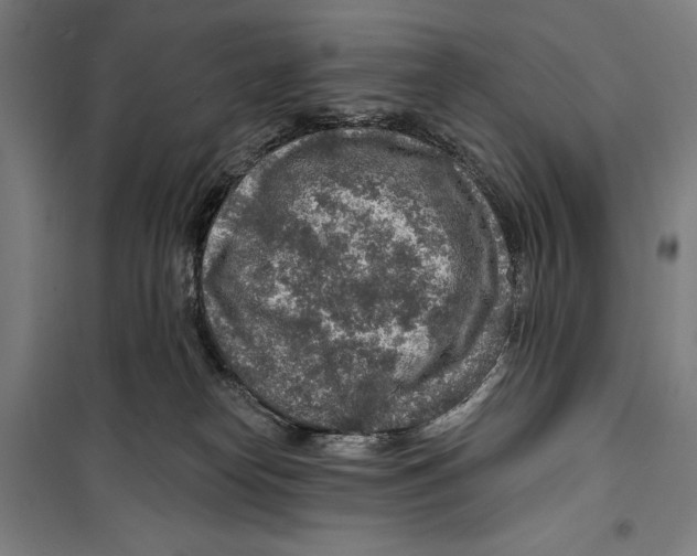 X0000099500182200806121424