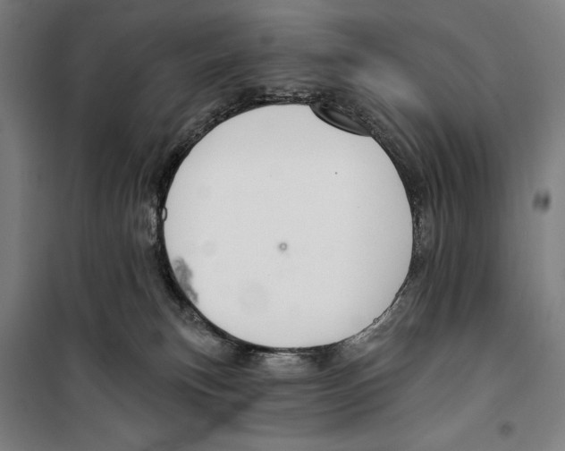 X0000099500183200806121424