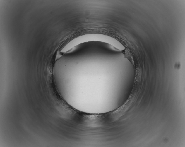 X0000099500184200806121424