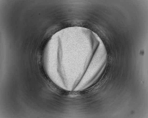 X0000099500185200806121424