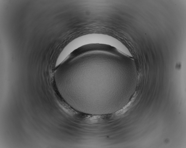 X0000099500186200806121424