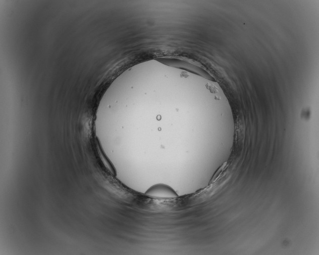 X0000099500188200806121424