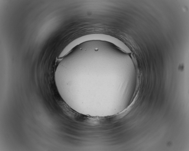 X0000099500190200806121424