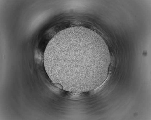 X0000099500191200806121424