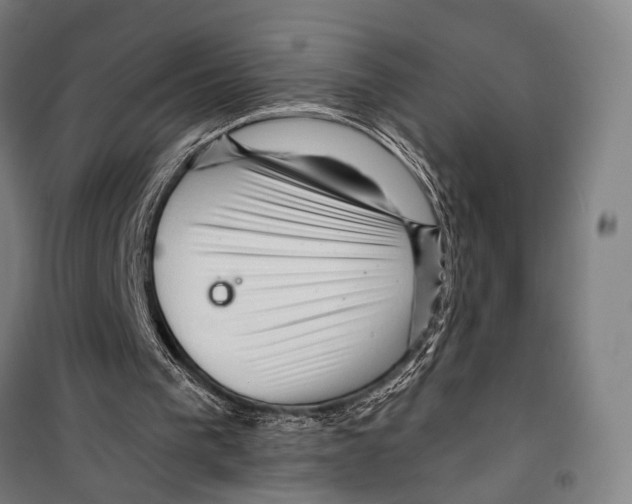 X0000099500193200806121423