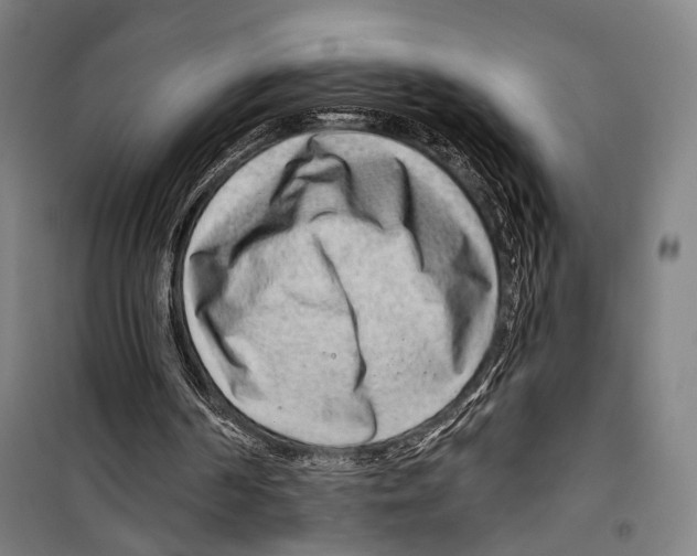 X0000099500194200806121423