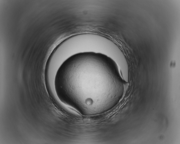 X0000099500195200806121423