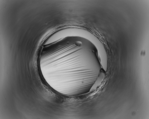 X0000099500197200806121423