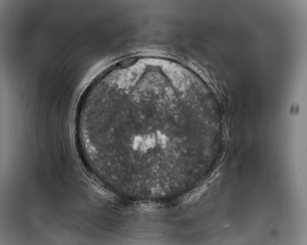 X0000099500199200806121423