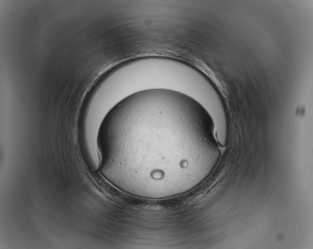 X0000099500203200806121423