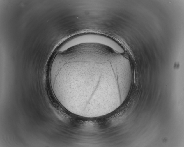 X0000099500204200806121423