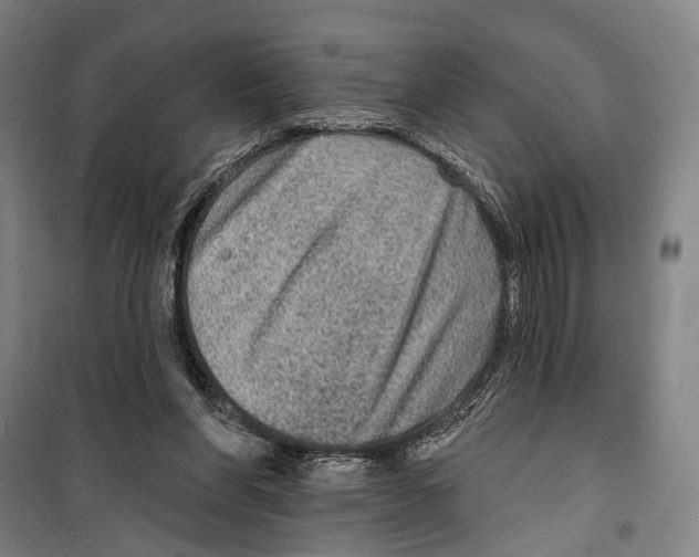 X0000099500206200806121423