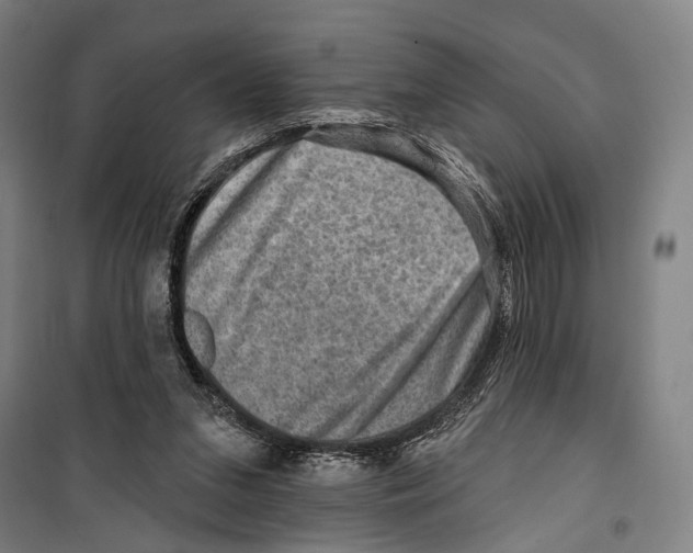 X0000099500207200806121423