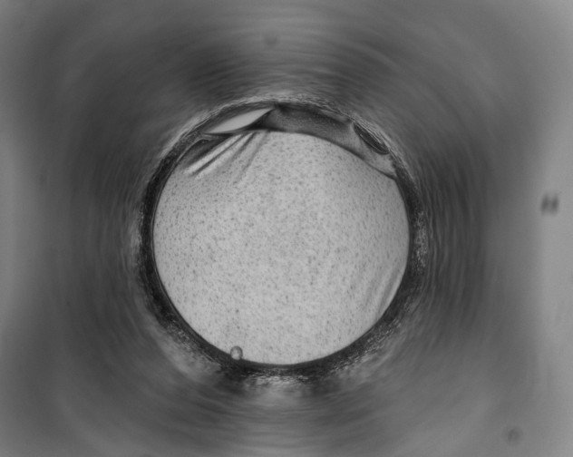 X0000099500208200806121423