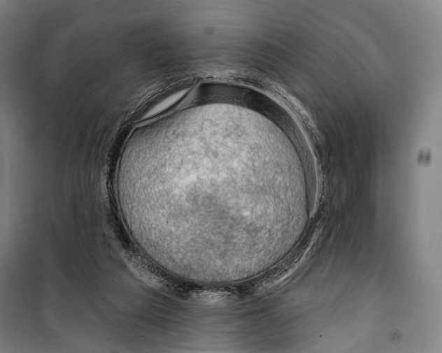 X0000099500209200806121423