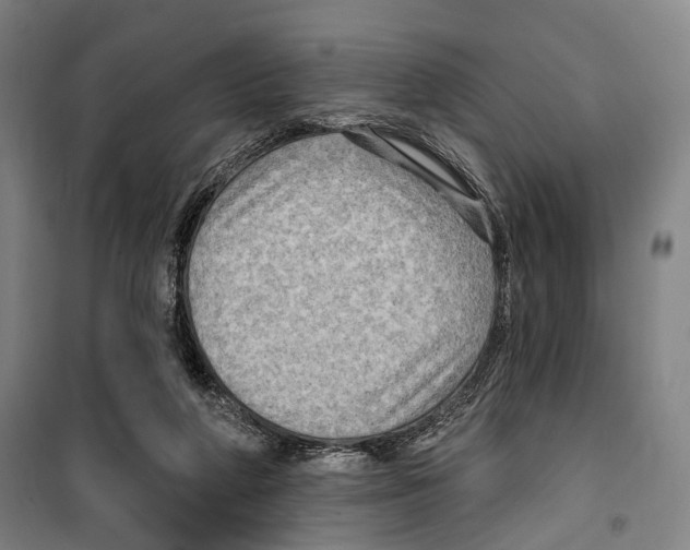 X0000099500210200806121423