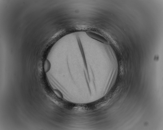 X0000099500211200806121423