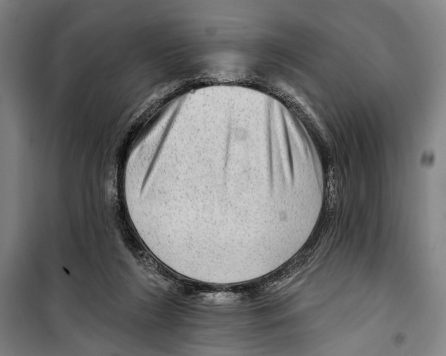 X0000099500212200806121423