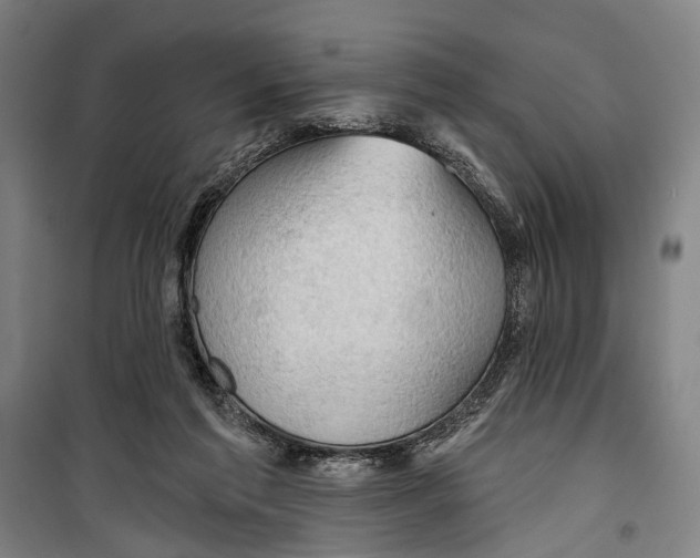 X0000099500213200806121423