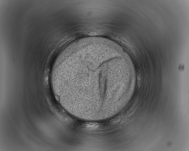 X0000099500214200806121423