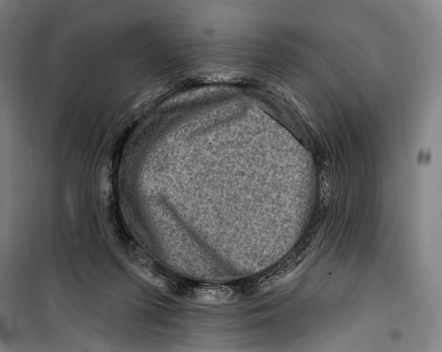 X0000099500215200806121423