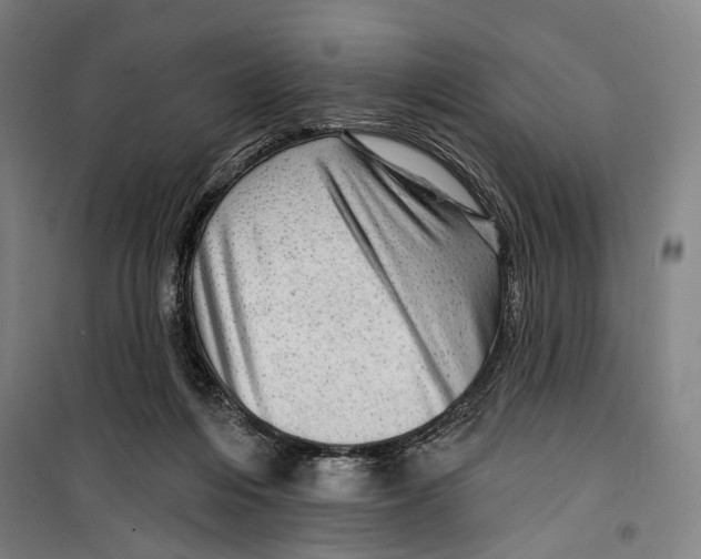 X0000099500216200806121423