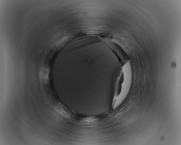 X0000099500219200806121423