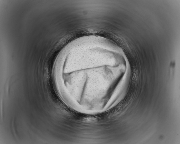 X0000099500220200806121423