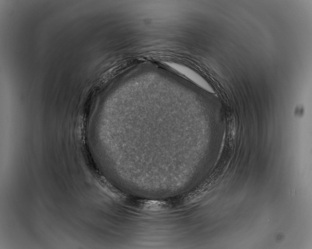 X0000099500222200806121423