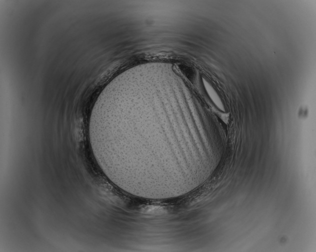 X0000099500224200806121423