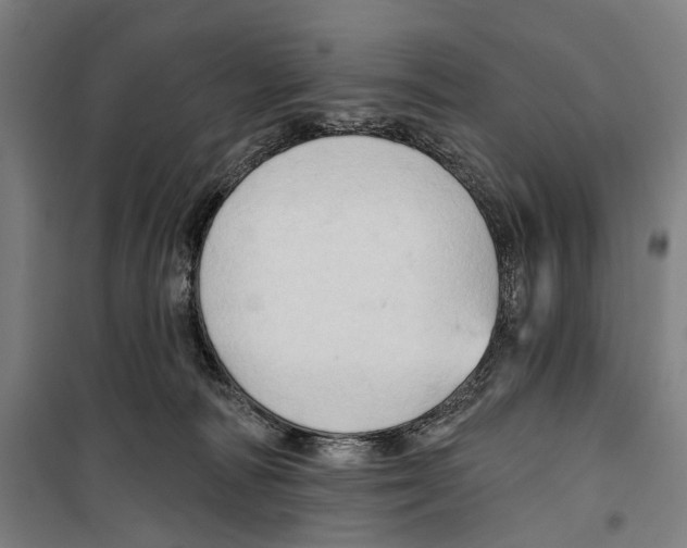 X0000099500226200806121423