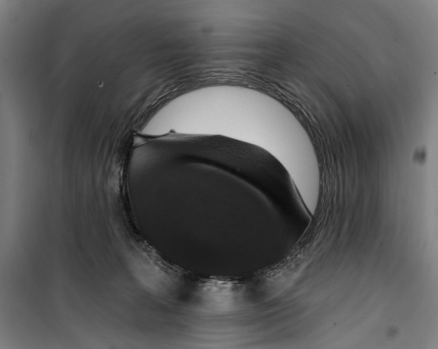 X0000099500227200806121423