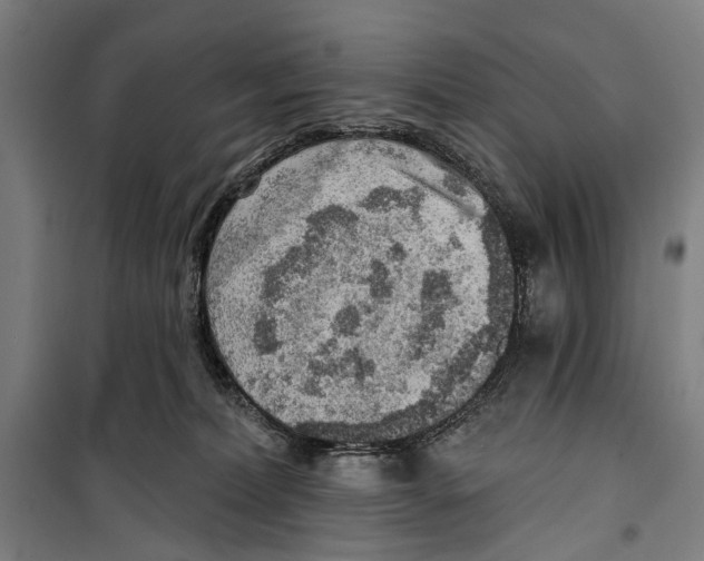 X0000099500228200806121423