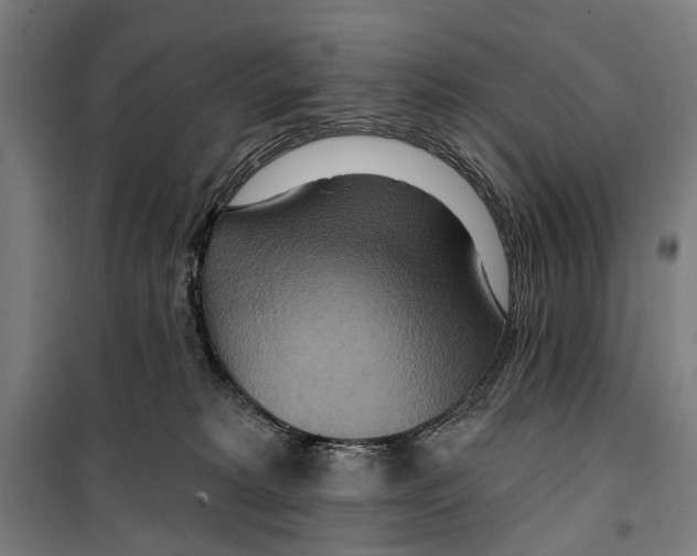 X0000099500229200806121423